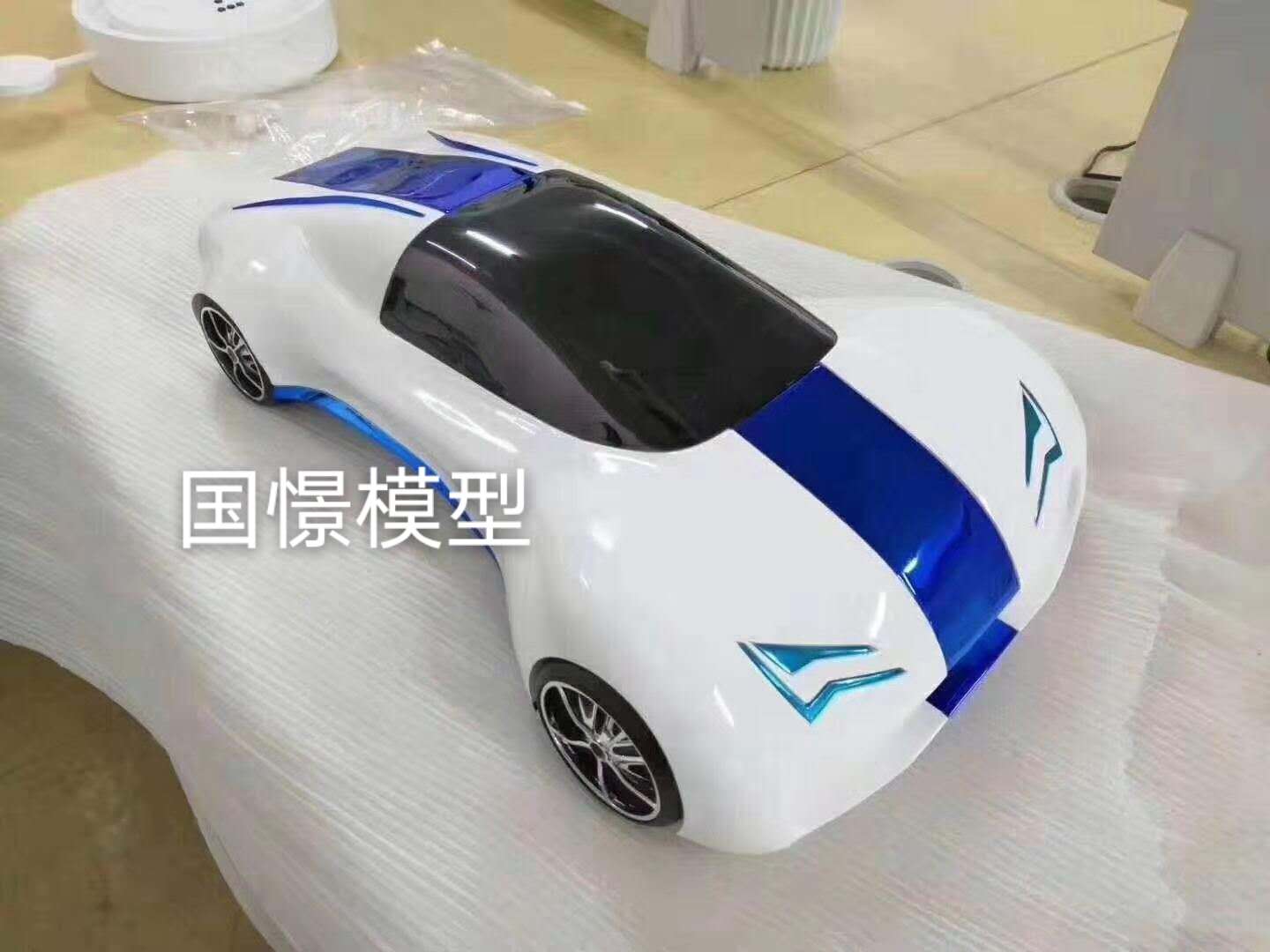 安仁县车辆模型