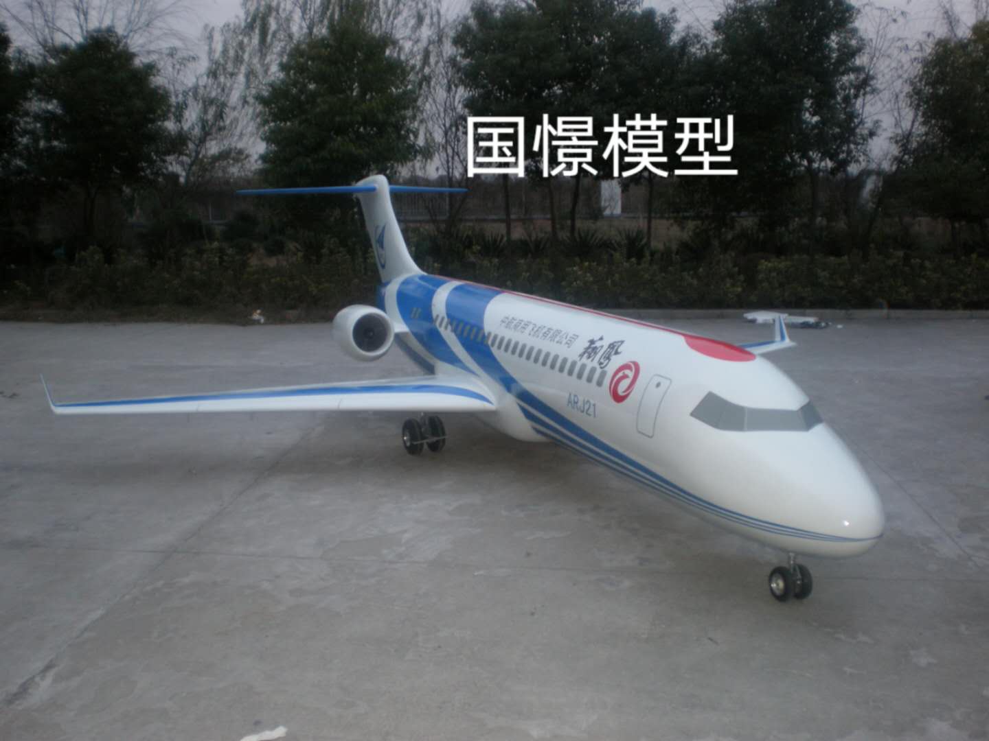 安仁县飞机模型